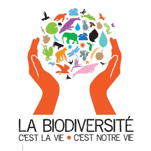 Jaquette de l'exposition La biodiversité, c'est la vie, c'est notre vie