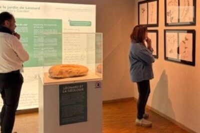 Agrandir l'image 3 sur 6, fenêtre modale