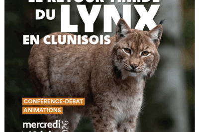 Agrandir l'image 2 sur 2, fenêtre modale