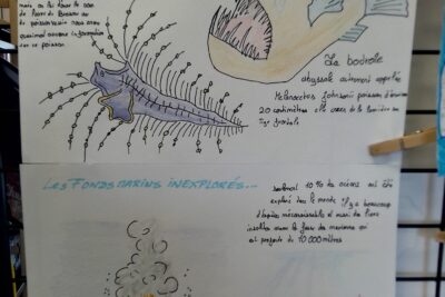 Agrandir l'image 4 sur 6, fenêtre modale