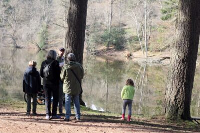 Agrandir l'image 1 sur 13, fenêtre modale