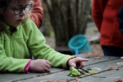 Agrandir l'image 10 sur 13, fenêtre modale