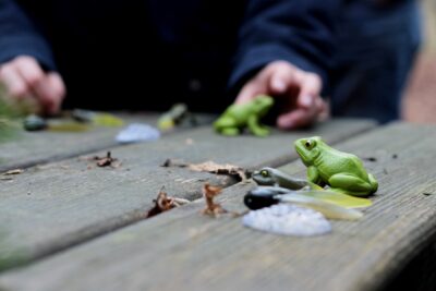 Agrandir l'image 11 sur 13, fenêtre modale