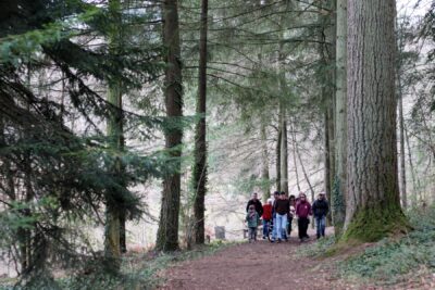 Agrandir l'image 13 sur 13, fenêtre modale