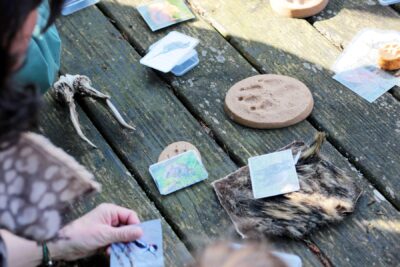 Agrandir l'image 2 sur 13, fenêtre modale