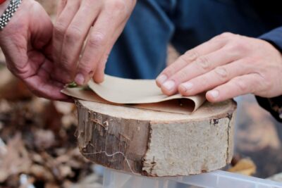 Agrandir l'image 5 sur 13, fenêtre modale