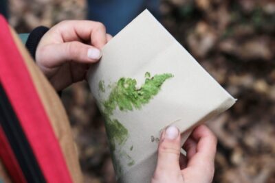 Agrandir l'image 7 sur 13, fenêtre modale