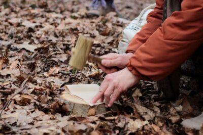 Agrandir l'image 8 sur 13, fenêtre modale