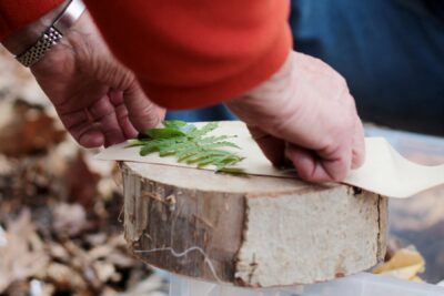 Agrandir l'image 9 sur 13, fenêtre modale