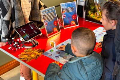 Agrandir l'image 5 sur 10, fenêtre modale