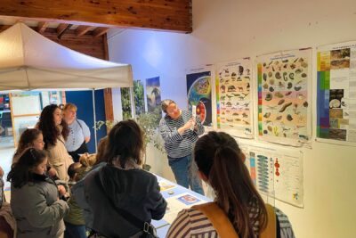 Agrandir l'image 6 sur 10, fenêtre modale