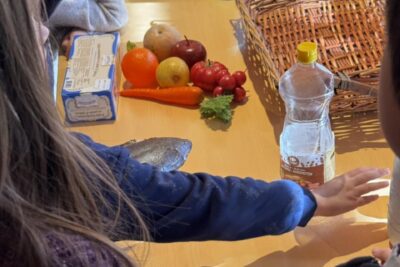 Agrandir l'image 2 sur 15, fenêtre modale