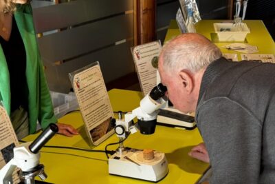 Agrandir l'image 5 sur 15, fenêtre modale