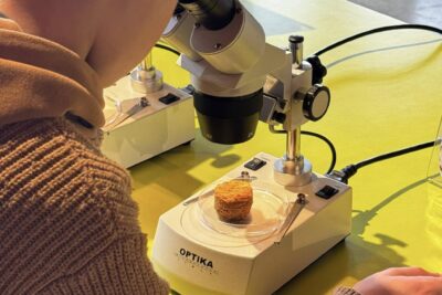 Agrandir l'image 6 sur 15, fenêtre modale