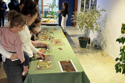 Agrandir l'image 11 sur 15, fenêtre modale