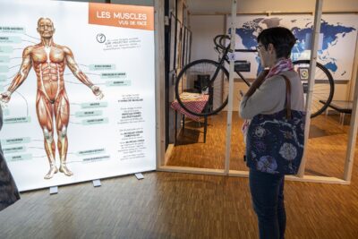 Agrandir l'image 1 sur 6, fenêtre modale