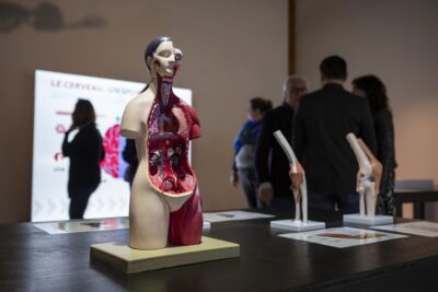 Agrandir l'image 4 sur 6, fenêtre modale