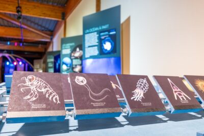 Agrandir l'image 5 sur 6, fenêtre modale