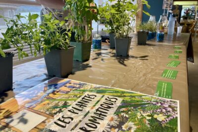 Agrandir l'image 1 sur 14, fenêtre modale