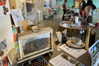 Agrandir l'image 2 sur 14, fenêtre modale