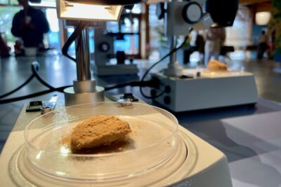 Agrandir l'image 3 sur 14, fenêtre modale