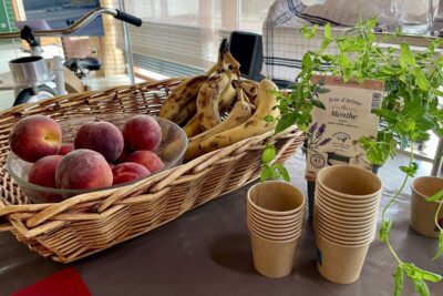 Agrandir l'image 4 sur 14, fenêtre modale