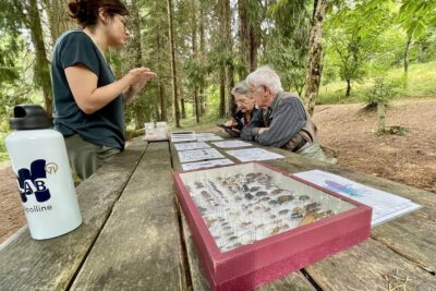 Agrandir l'image 2 sur 6, fenêtre modale