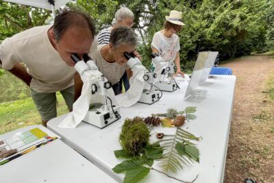 Agrandir l'image 4 sur 6, fenêtre modale
