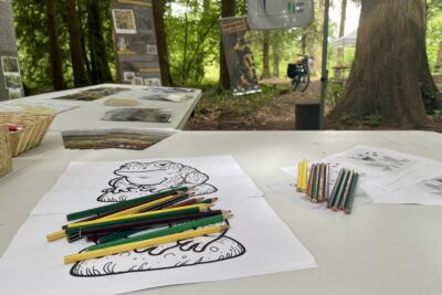 Agrandir l'image 5 sur 6, fenêtre modale